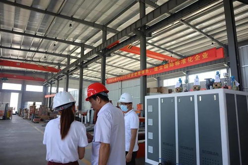 1噸燃?xì)庹羝l(fā)生器哪個品牌