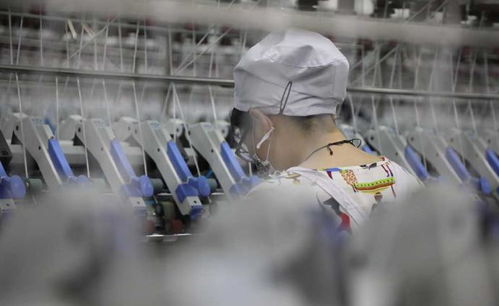 紡織業(yè)的演進(jìn)與發(fā)展