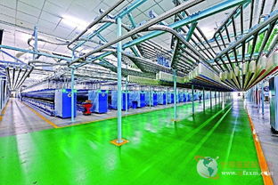 光影織夢 金貓杯攝影大賽記錄現代紡織業新顏